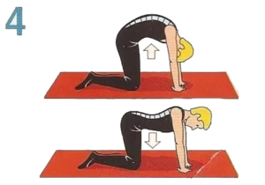 Упражнения от болей в спине